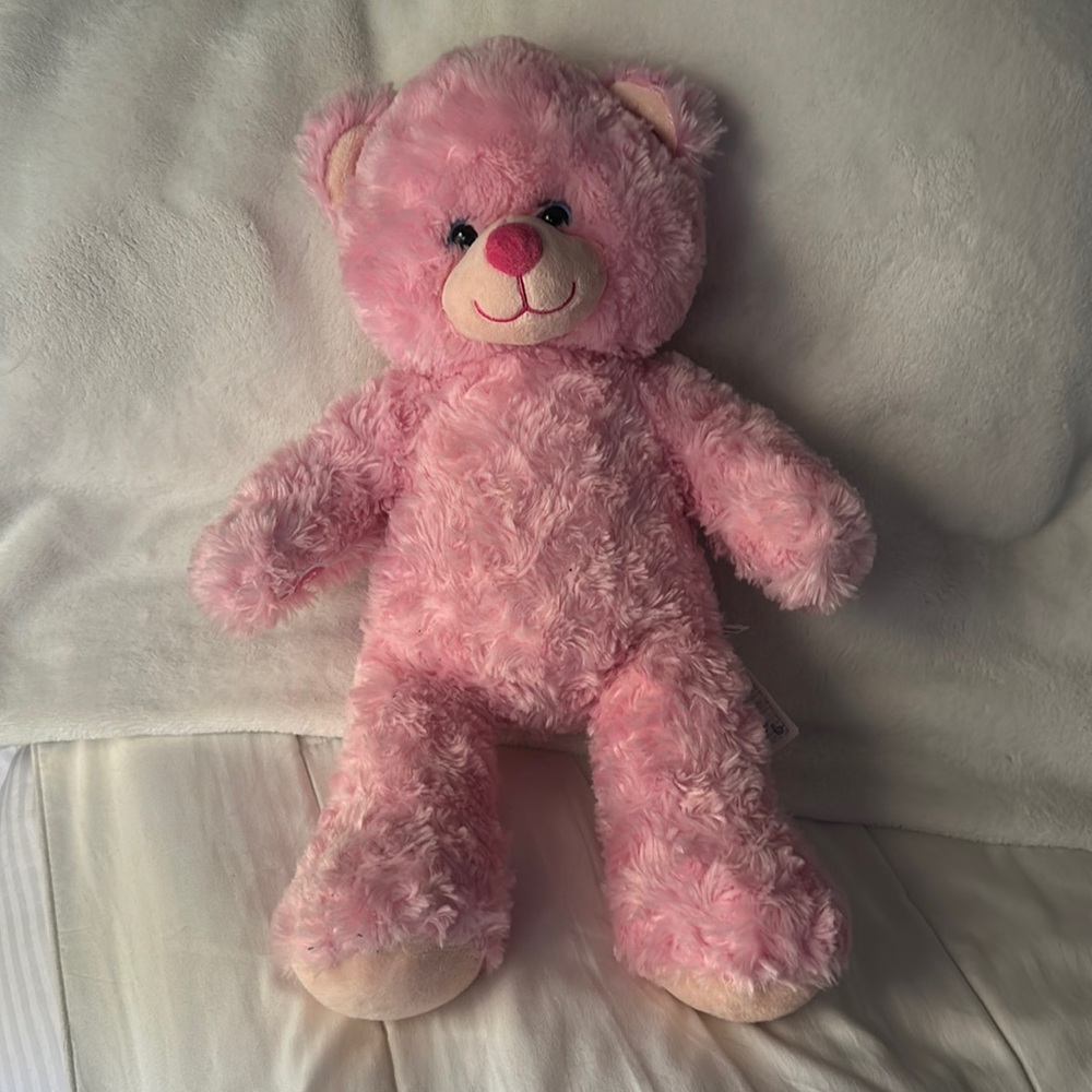 Build a Bear pink plush teddy blue eye very cute, soft, clean 14-16” clean cute
